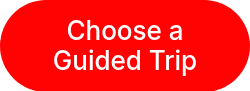 Choose a Guided Trip